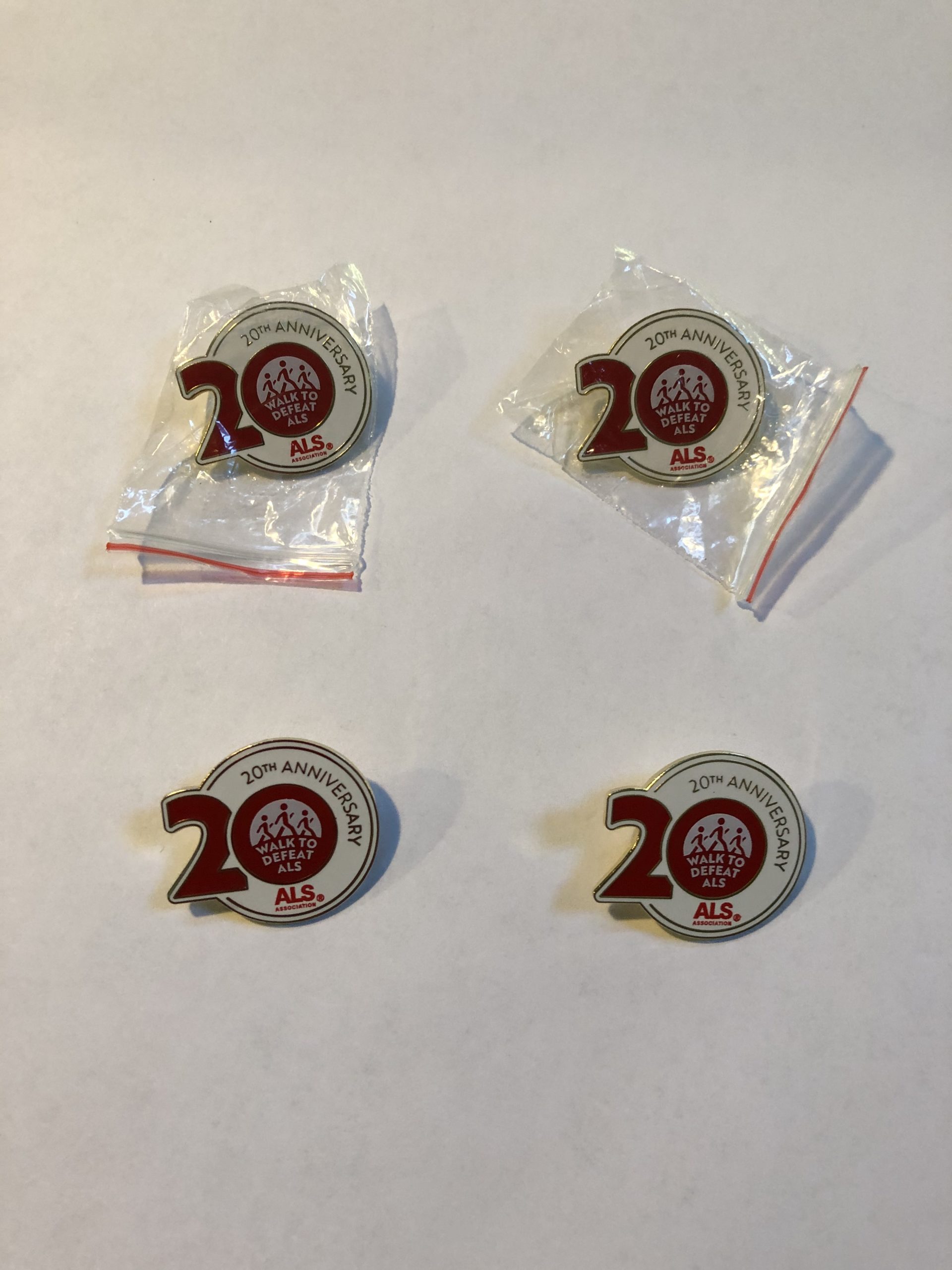 20th Annie Walk Pin